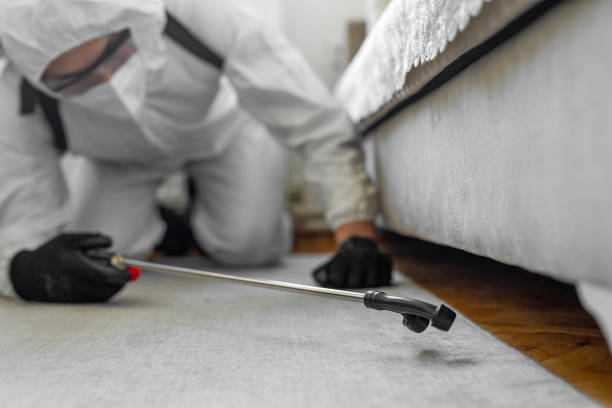 Professional Cockroach Control technician working in Hillburn, NY